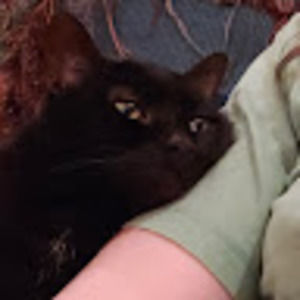 Meet your Posher, Chloe